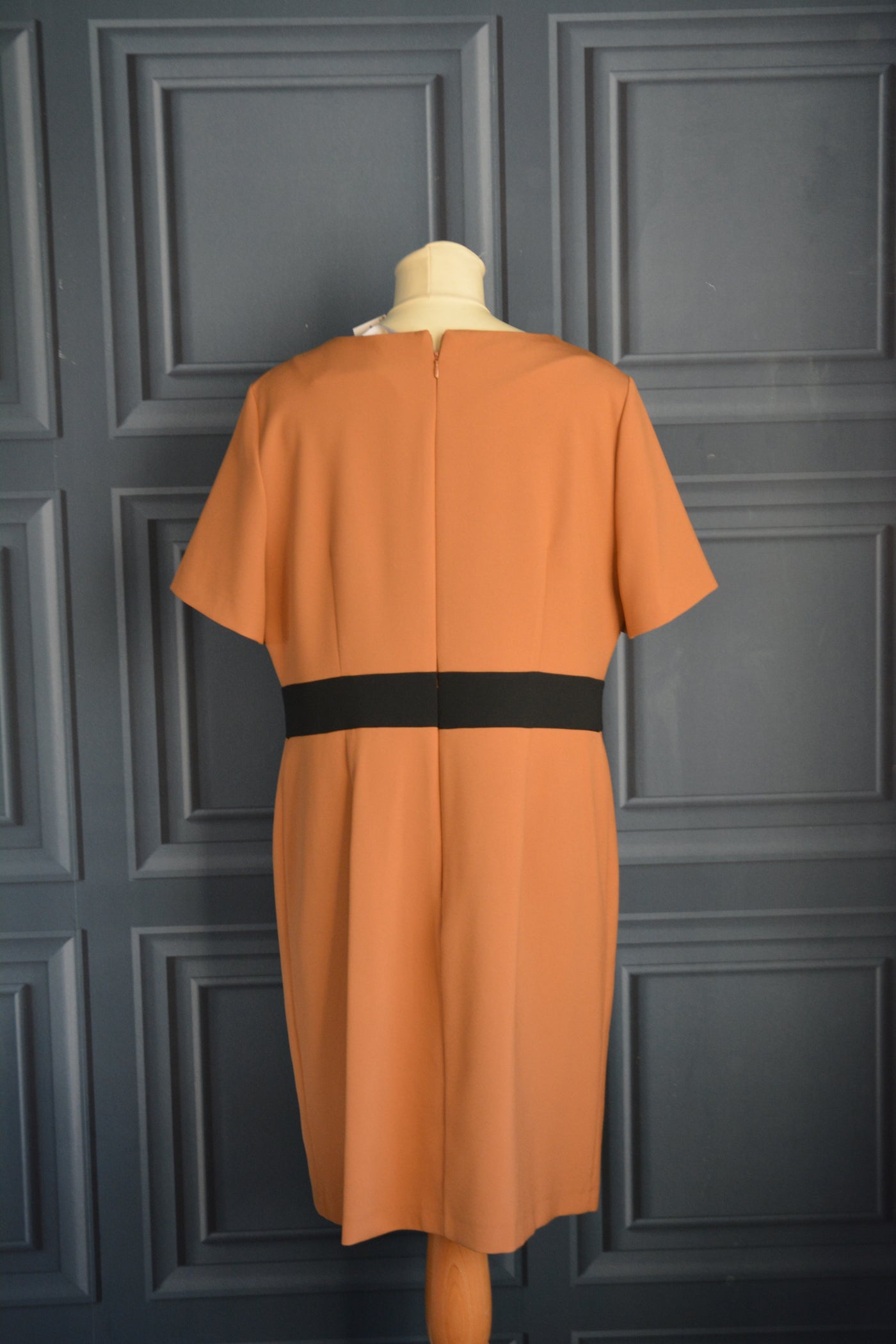 Papaya Dmart Dress (Size 16) image 1