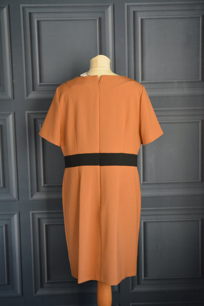 Papaya Dmart Dress (Size 16) image 1