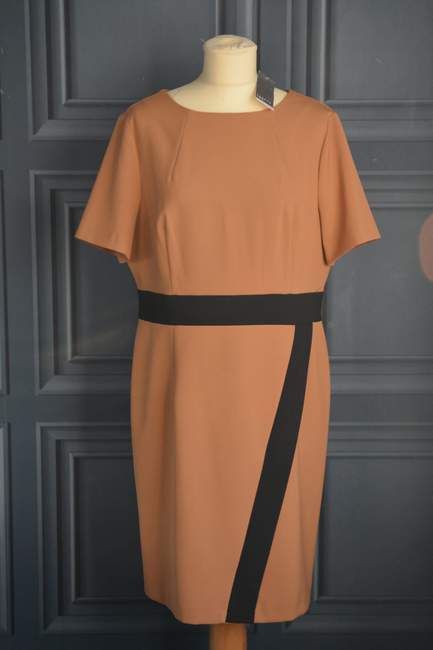 Papaya Dmart Dress (Size 16) image 0